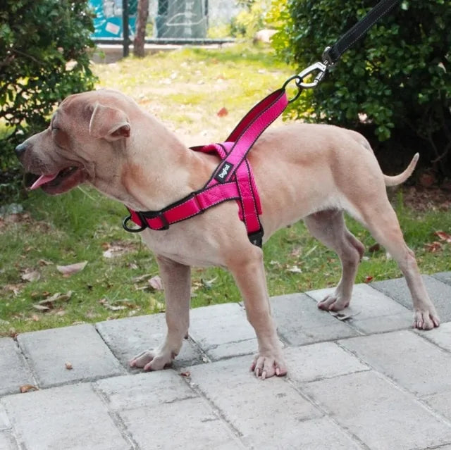 Versatile Comfortable Dog Harnesses