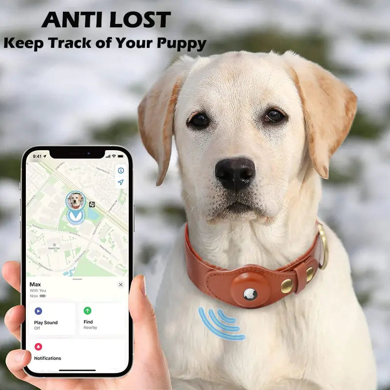 Premium Leather Anti-Lost Dog&