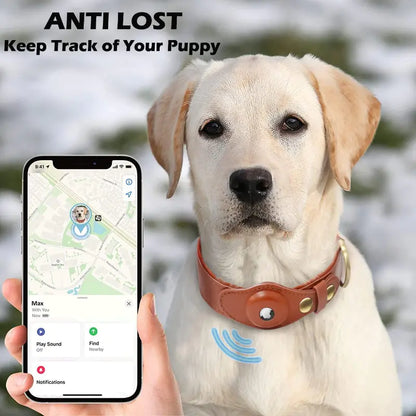 Premium Leather Anti-Lost Dog&