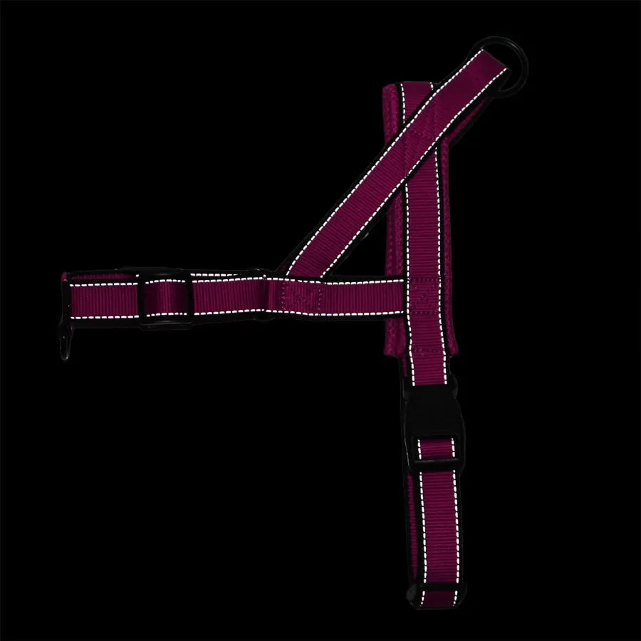 Versatile Comfortable Dog Harnesses