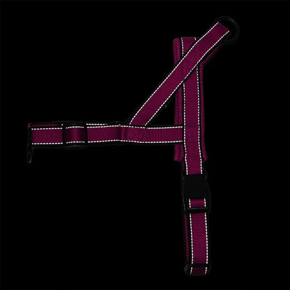 Versatile Comfortable Dog Harnesses