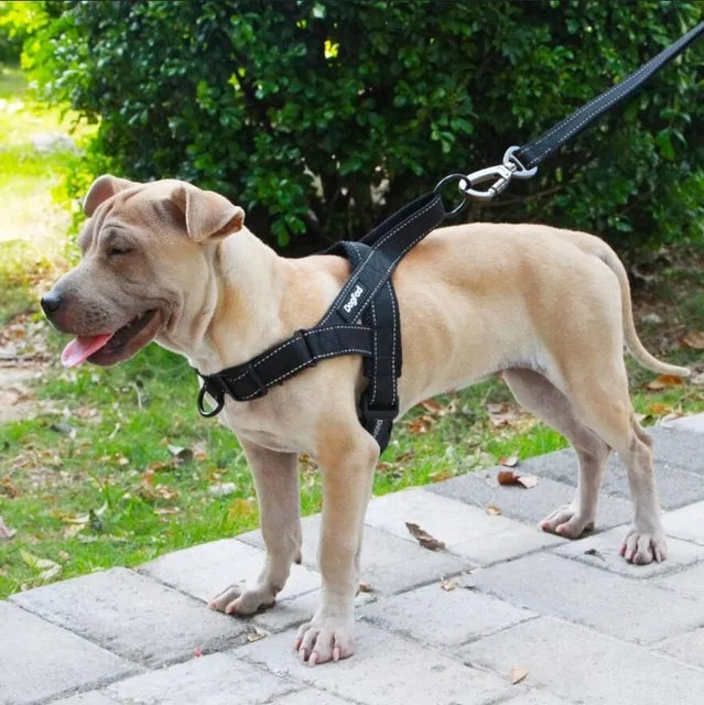 Versatile Comfortable Dog Harnesses