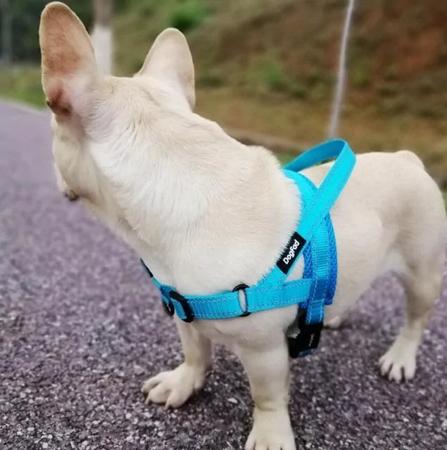 Versatile Comfortable Dog Harnesses