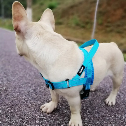 Versatile Comfortable Dog Harnesses