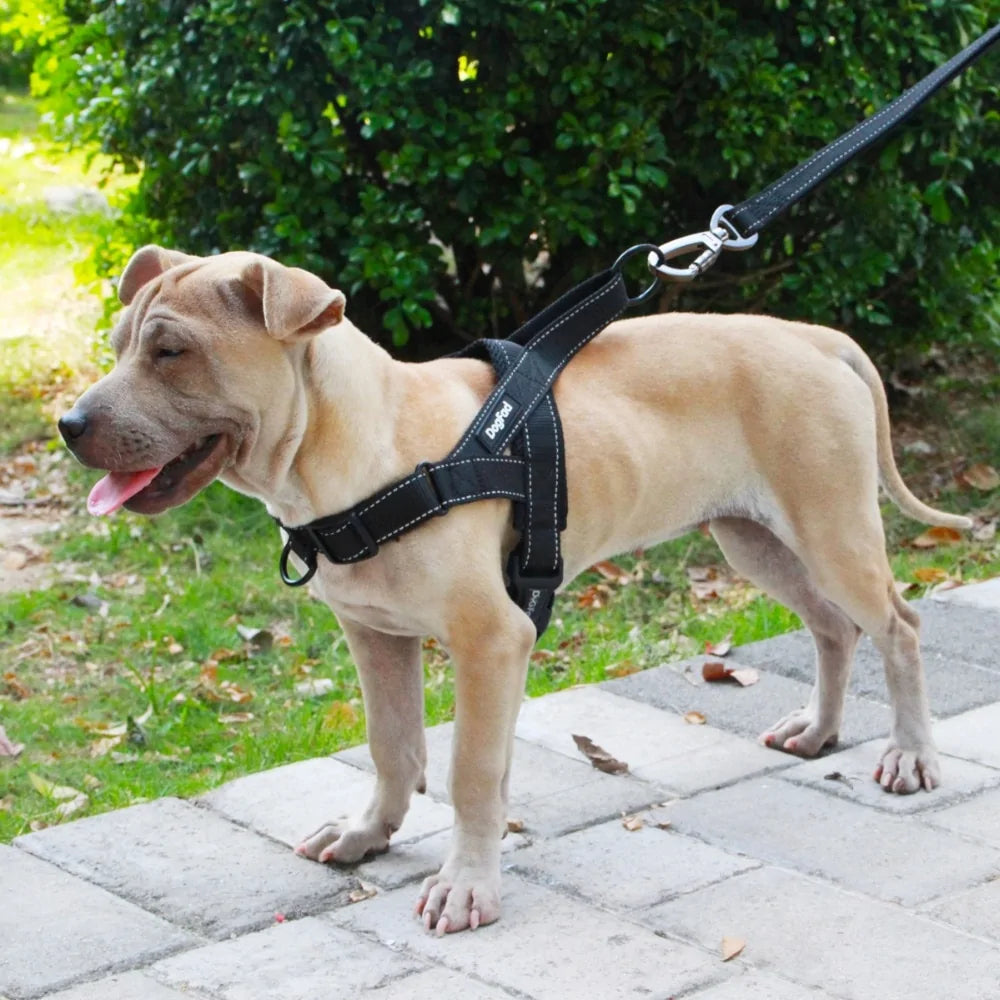 Versatile Comfortable Dog Harnesses